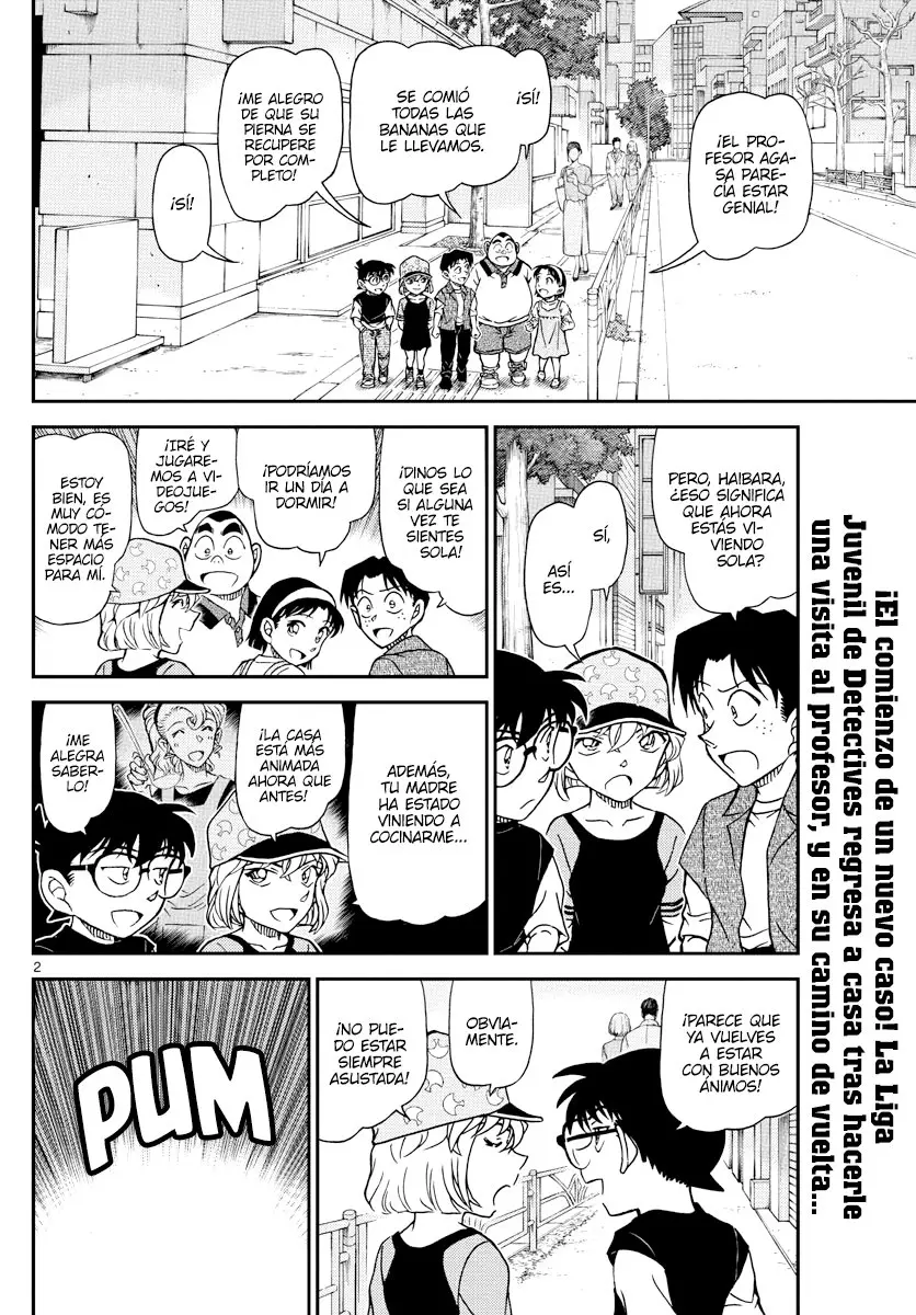 Detective Conan capítulo 1079, página 2