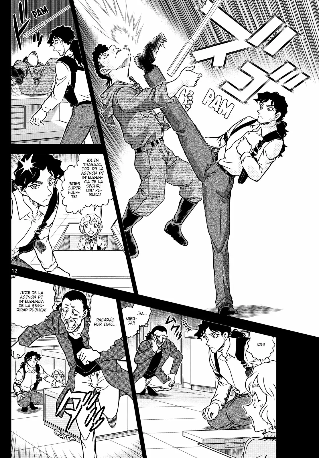 Detective Conan capítulo 1114, página 12
