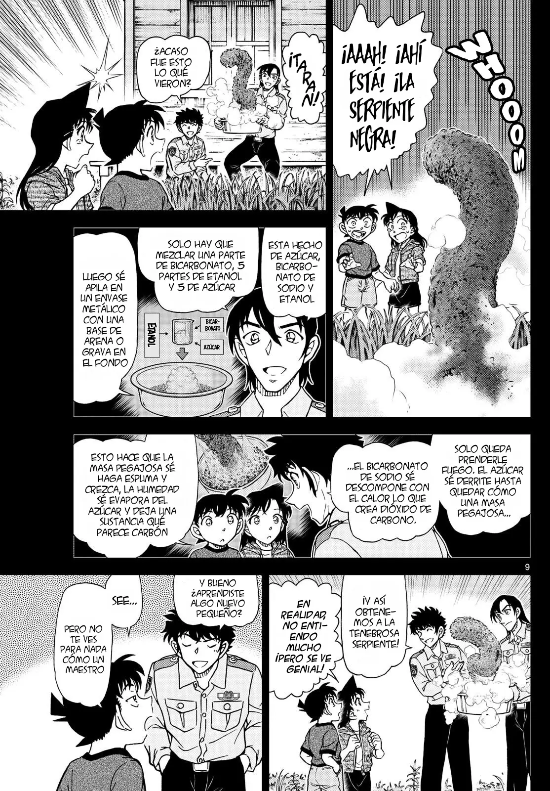 Detective Conan capítulo 1135, página 11