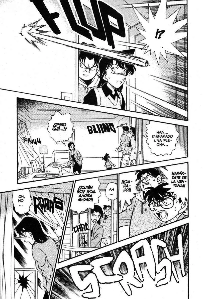 Detective Conan capítulo 194, página 14