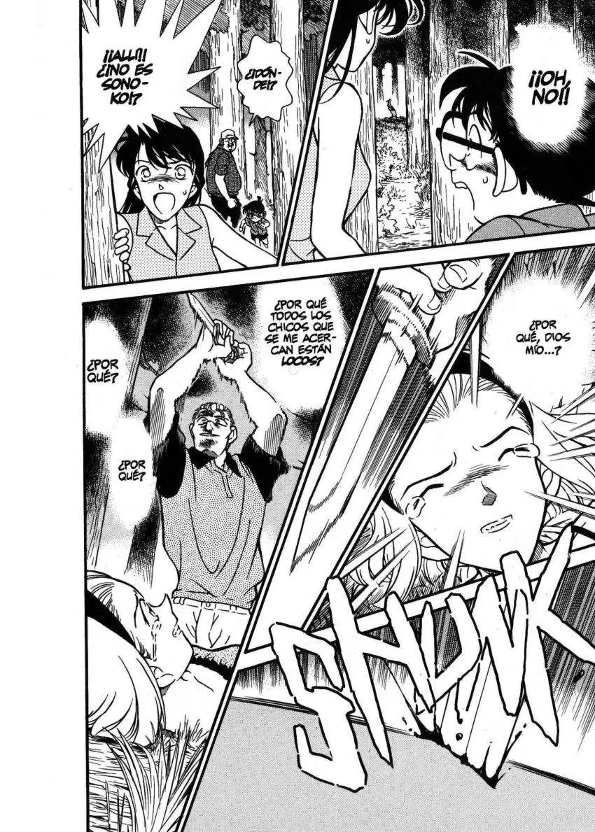 Detective Conan capítulo 221, página 13