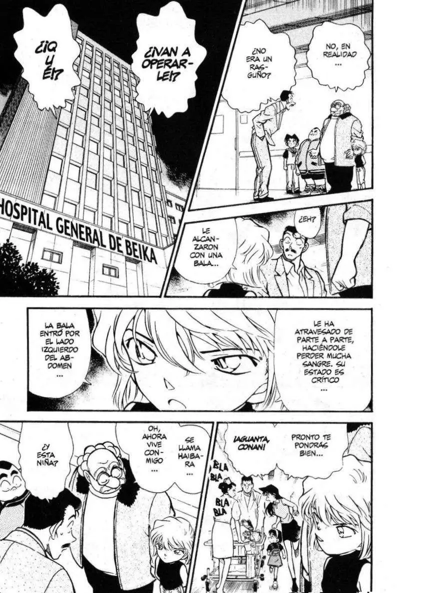 Detective Conan capítulo 253, página 14