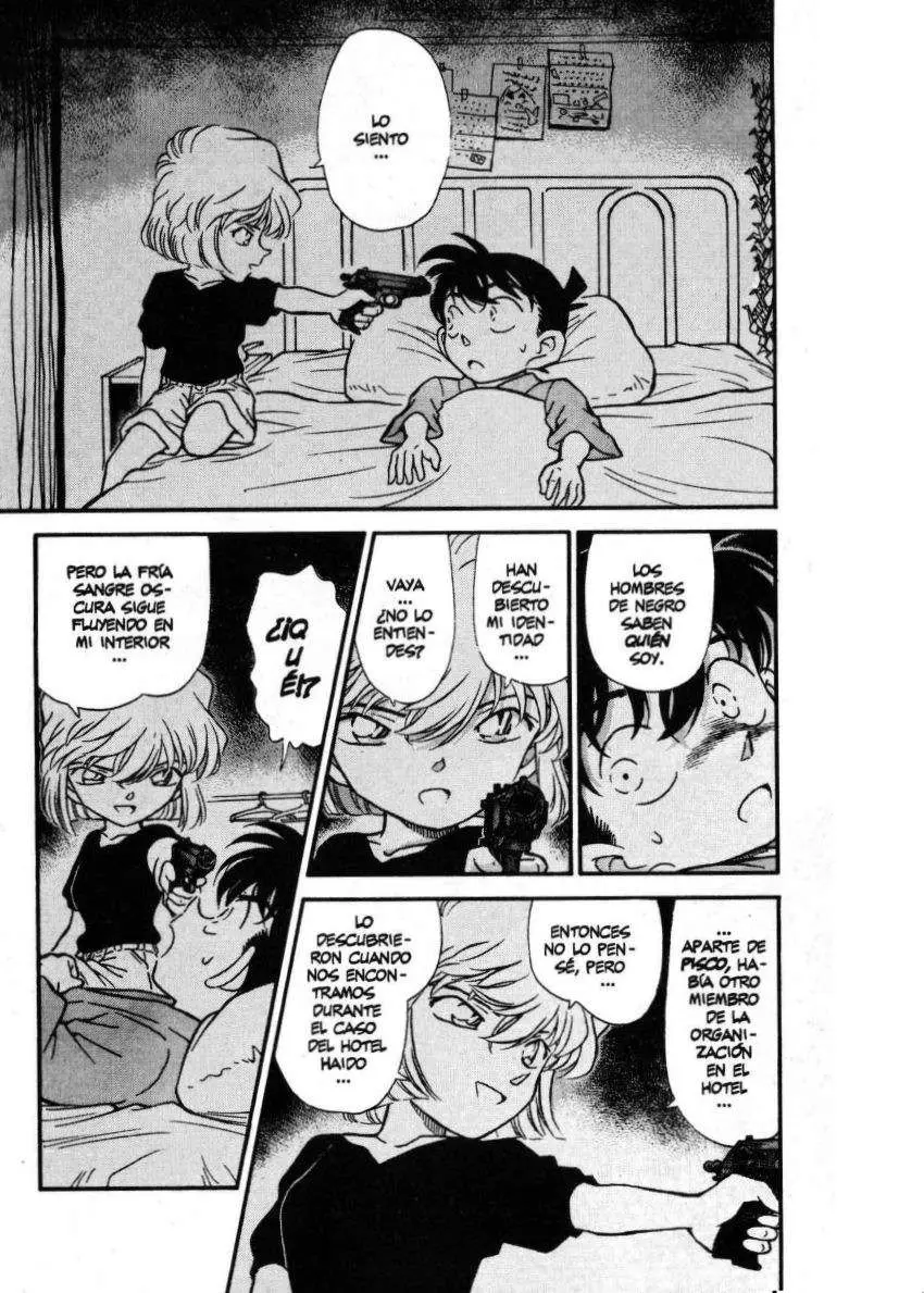 Detective Conan capítulo 255, página 2