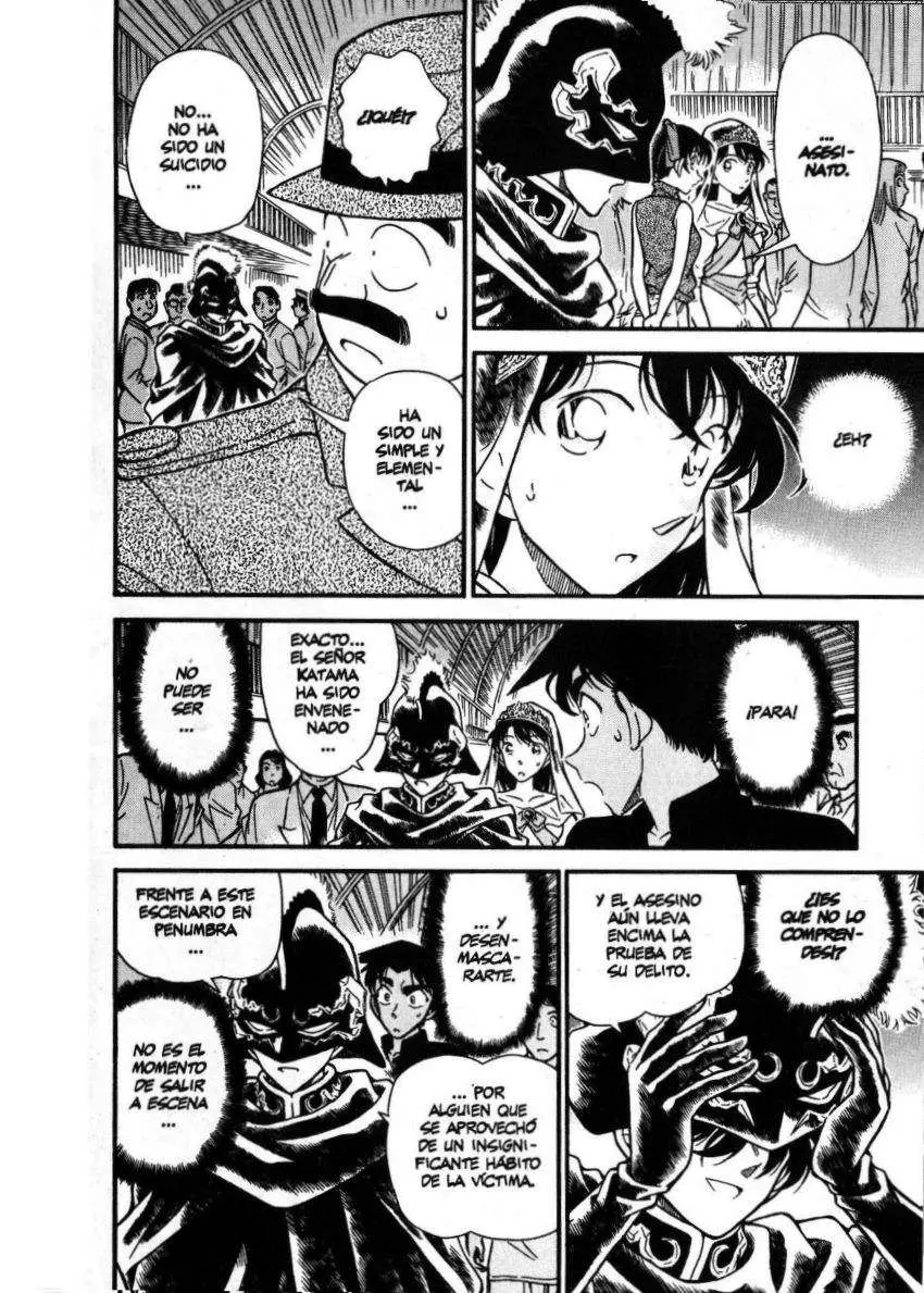Detective Conan capítulo 256, página 15