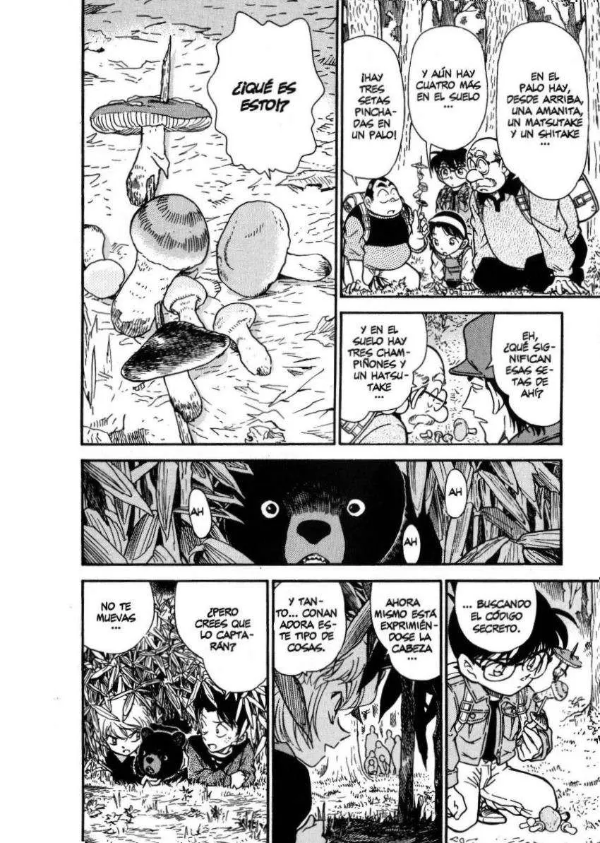 Detective Conan capítulo 274, página 15