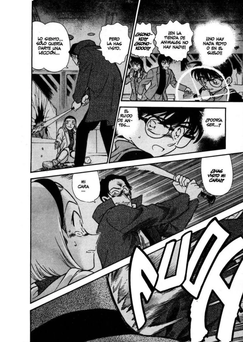 Detective Conan capítulo 286, página 13