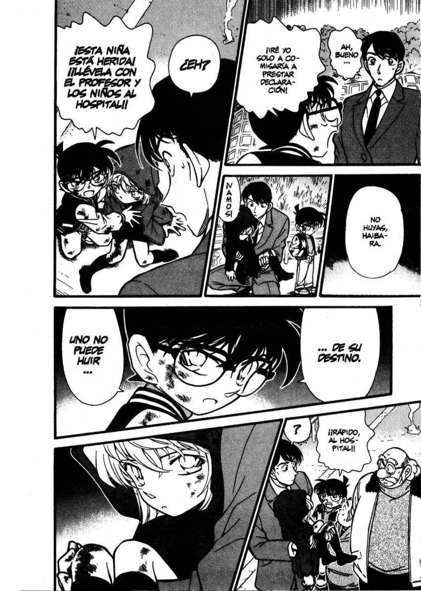 Detective Conan capítulo 289, página 15