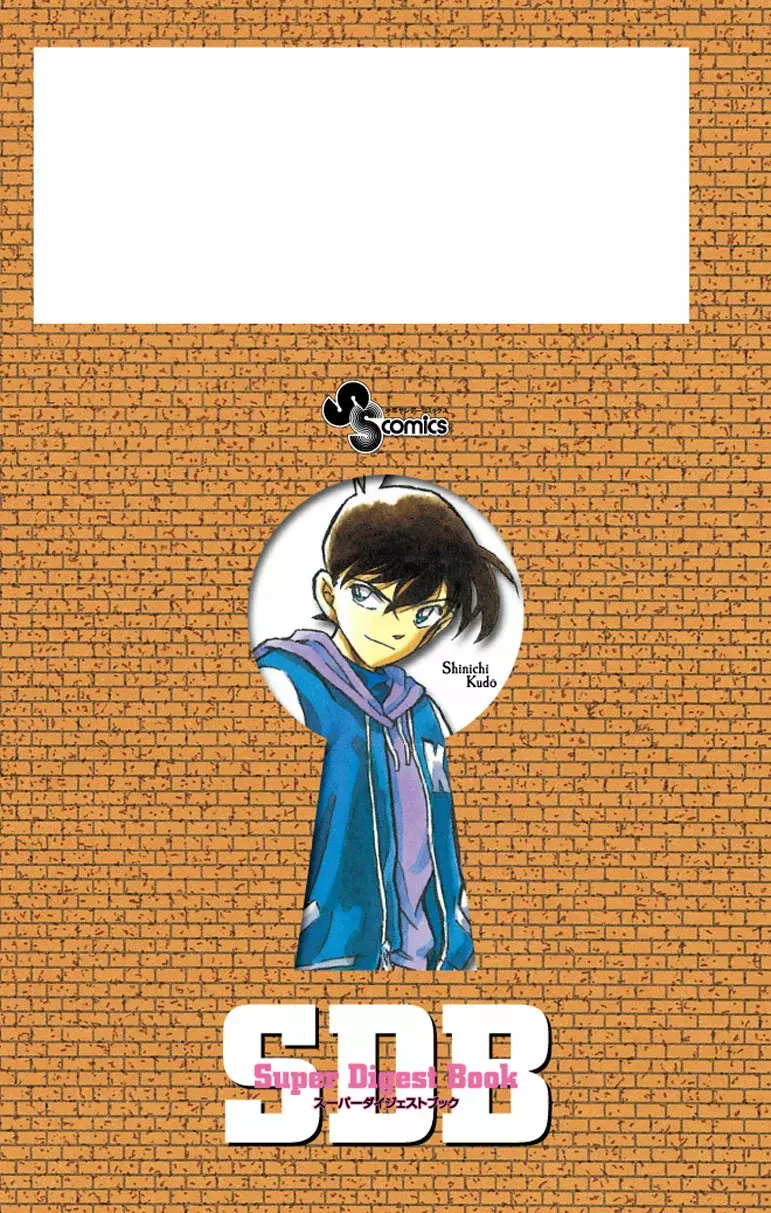 Detective Conan capítulo 306.5, página 12