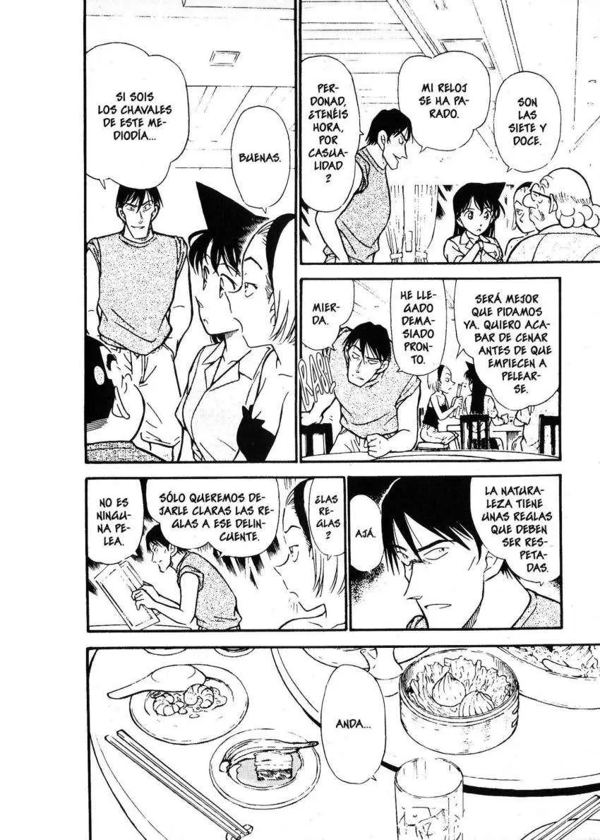 Detective Conan capítulo 311, página 13