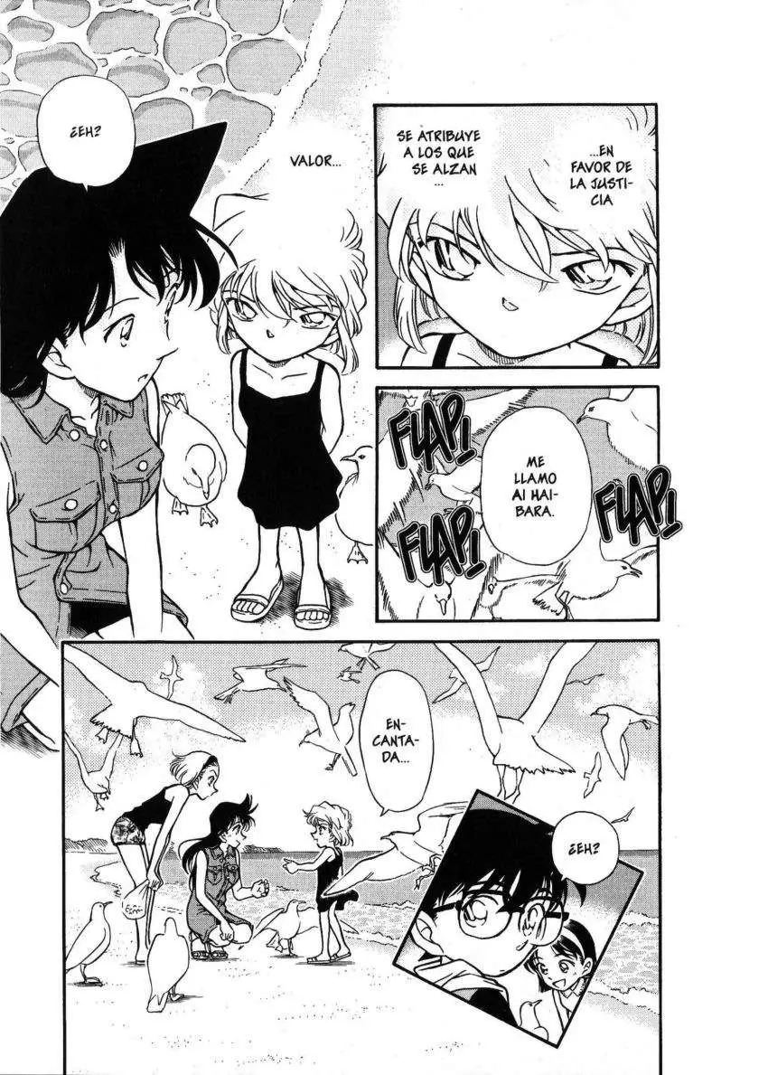 Detective Conan capítulo 313, página 18