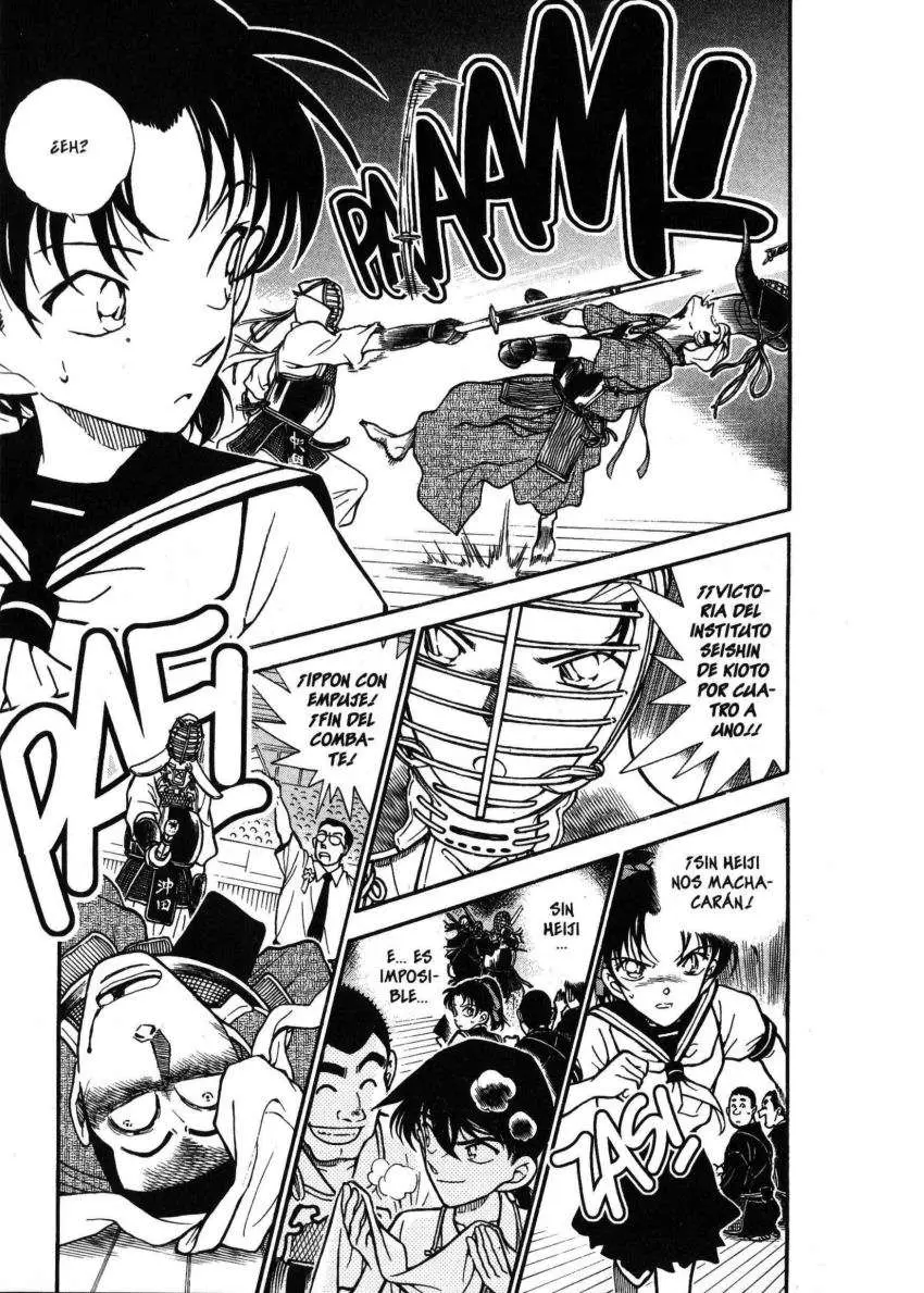 Detective Conan capítulo 315, página 10