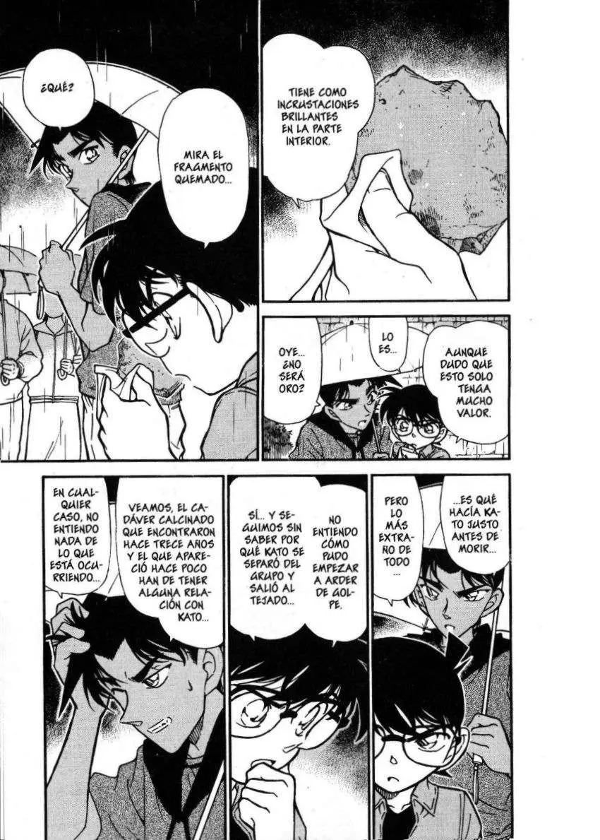 Detective Conan capítulo 318, página 12