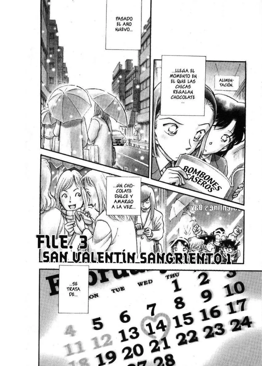 Detective Conan capítulo 330, página 19
