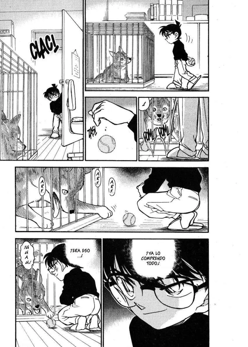 Detective Conan capítulo 333, página 12