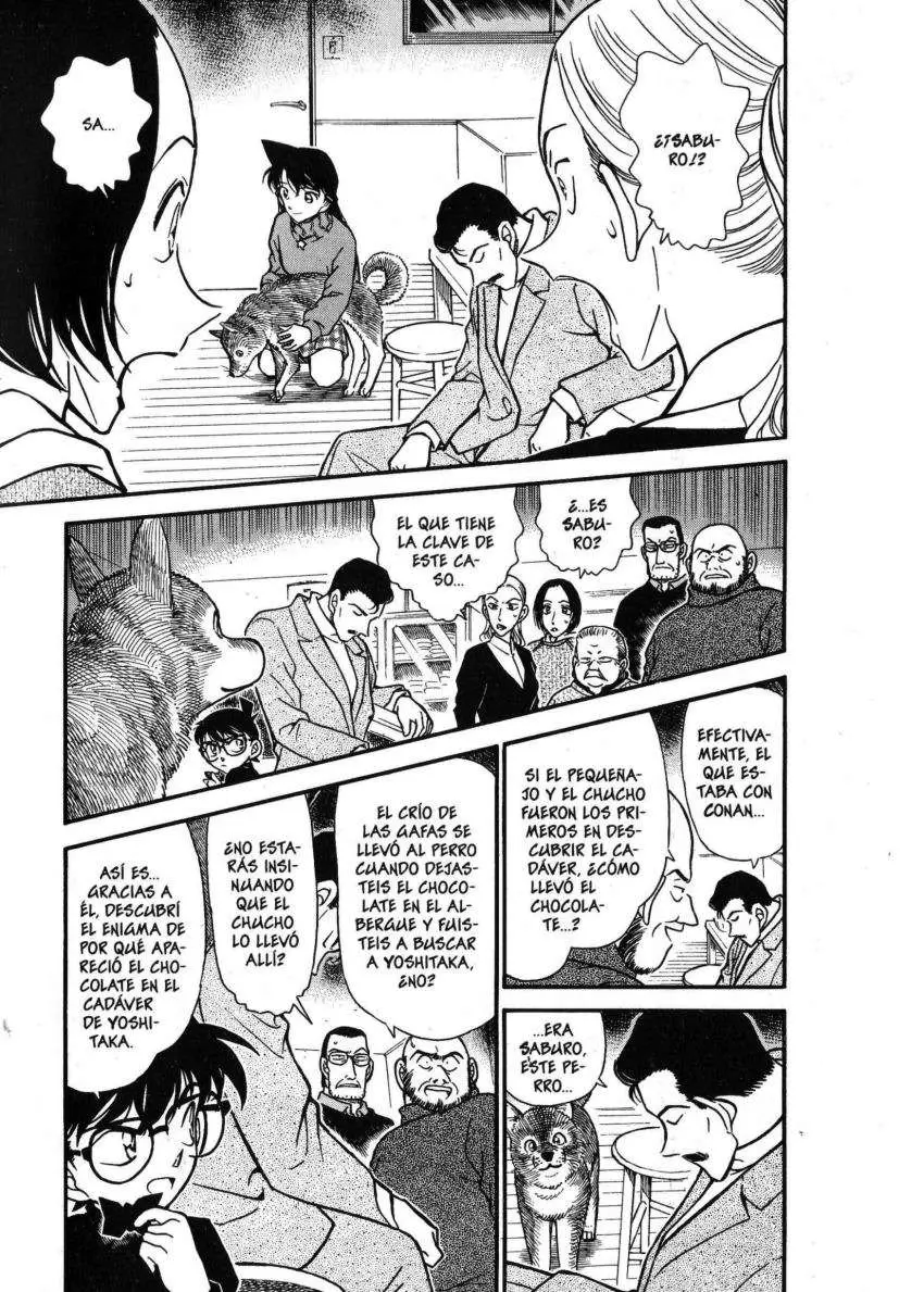 Detective Conan capítulo 334, página 2
