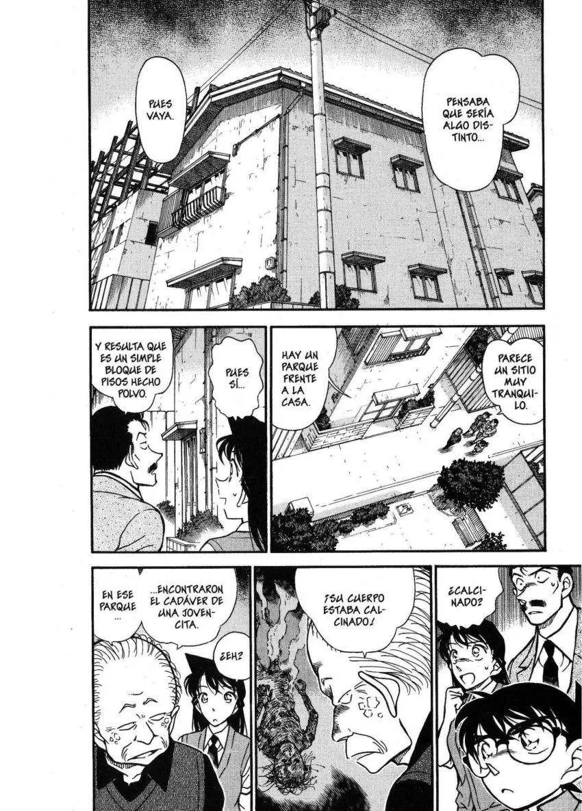 Detective Conan capítulo 355, página 7