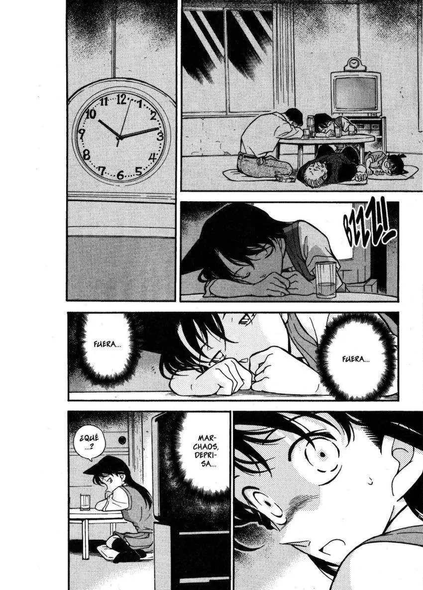 Detective Conan capítulo 355, página 13