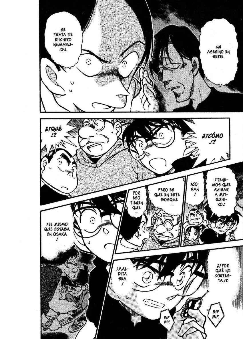 Detective Conan capítulo 358, página 17