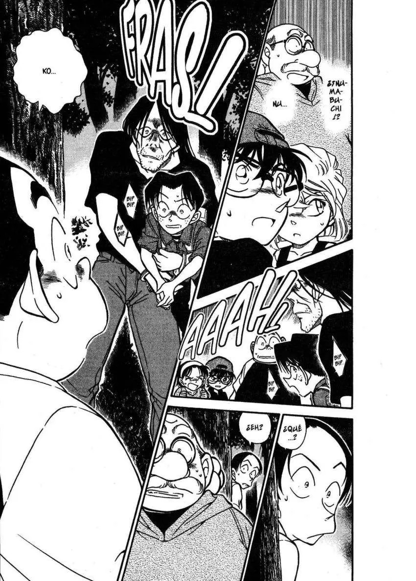 Detective Conan capítulo 360, página 12