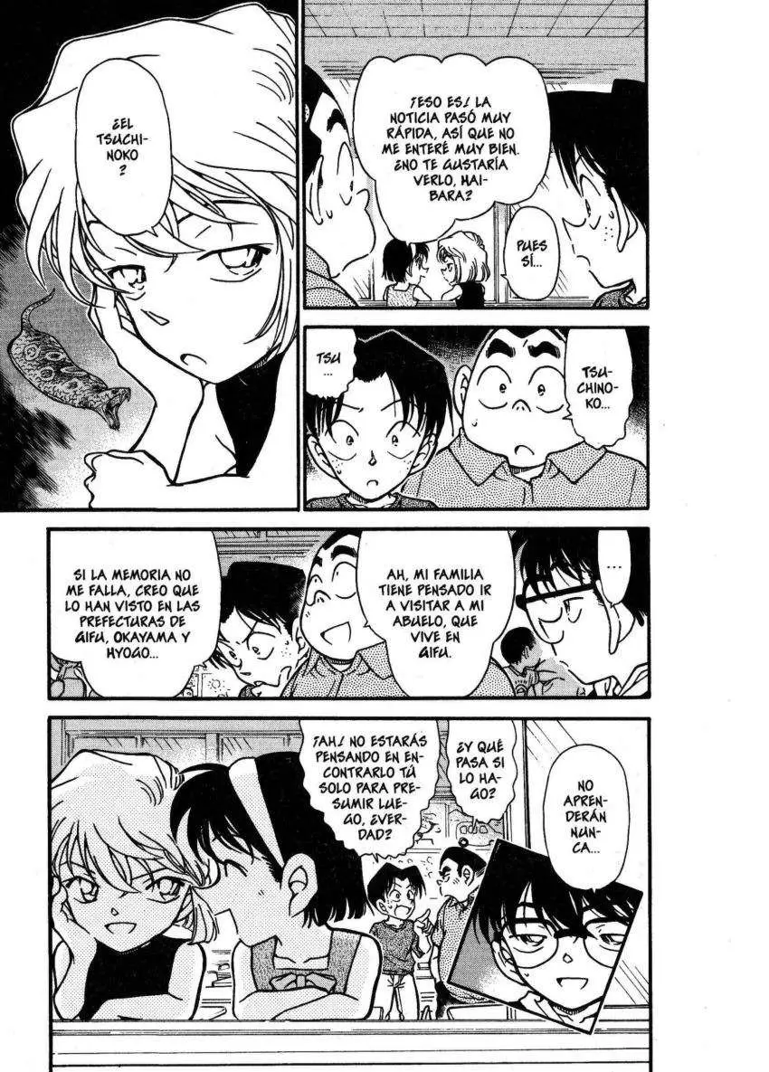 Detective Conan capítulo 360, página 18