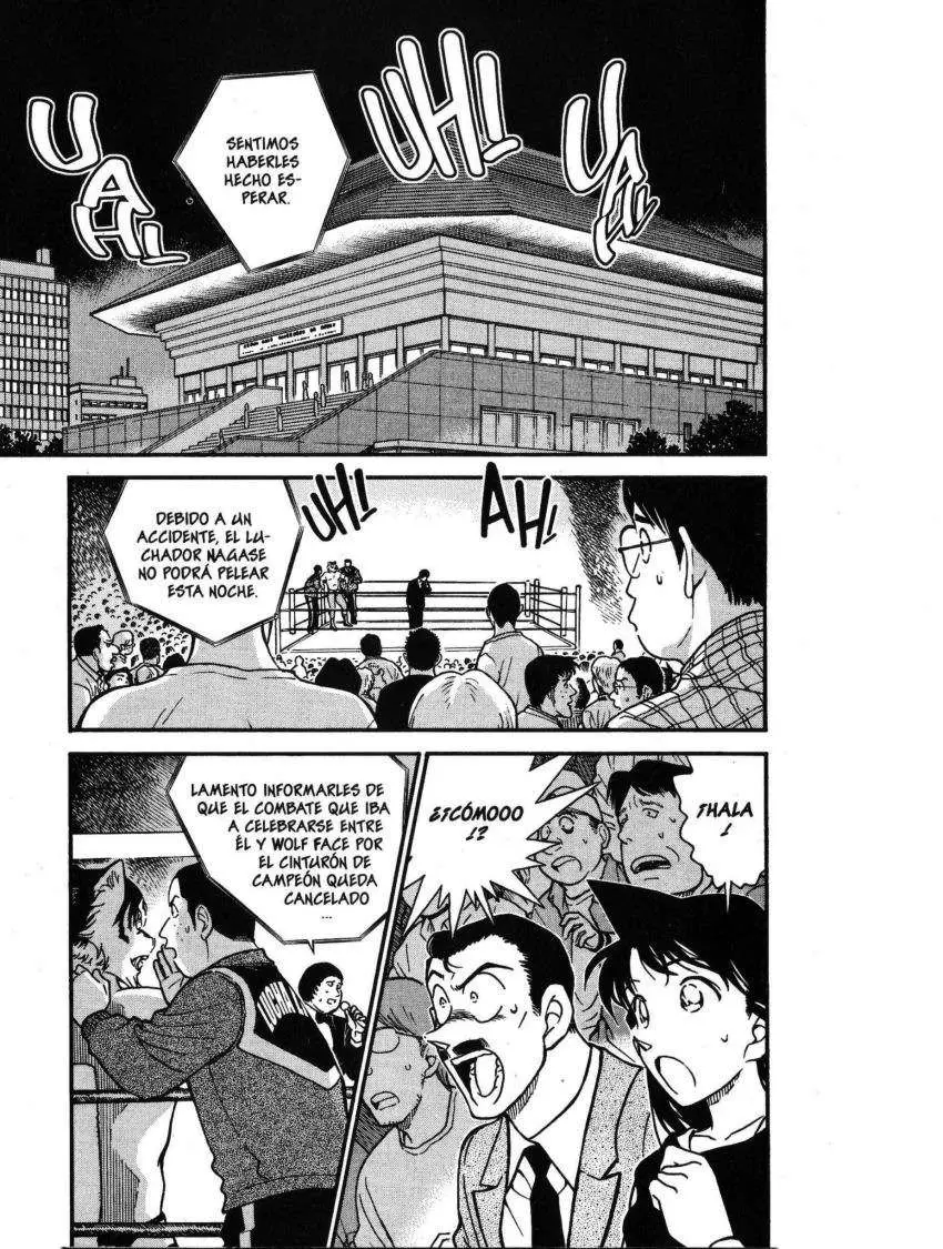 Detective Conan capítulo 388, página 2