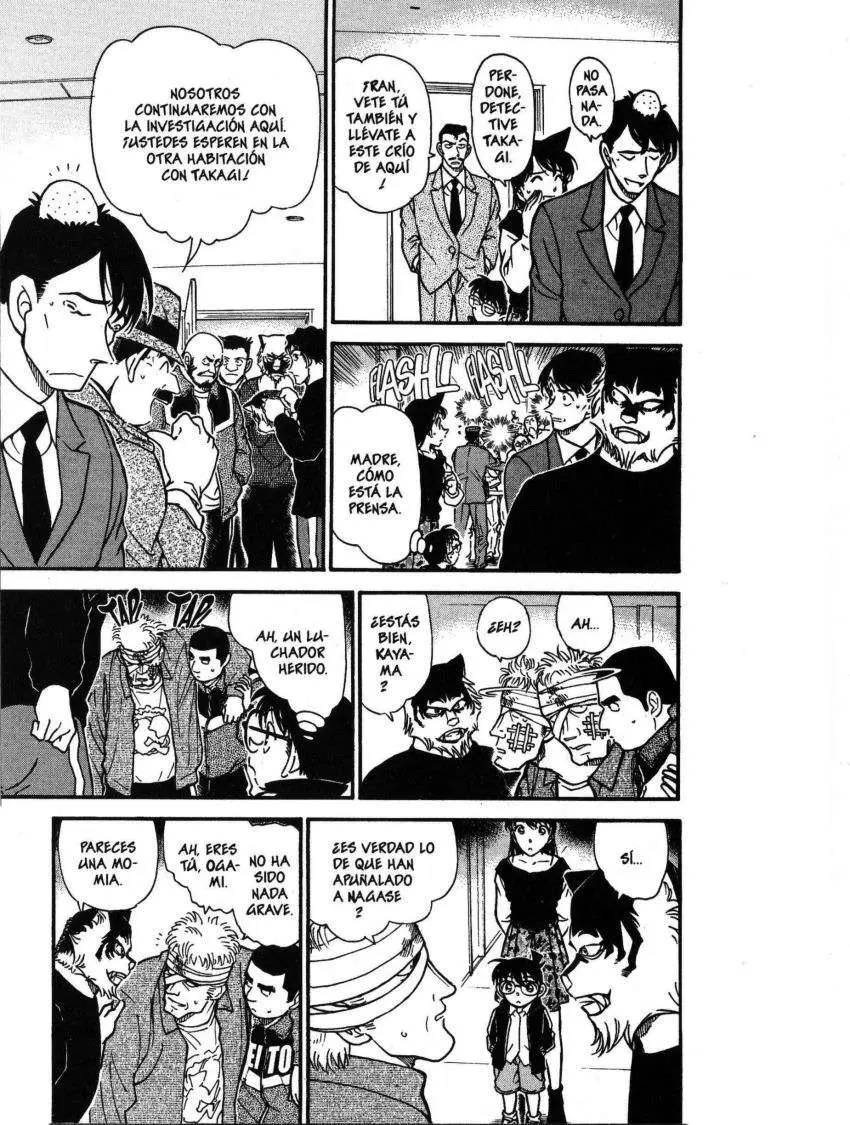 Detective Conan capítulo 388, página 14