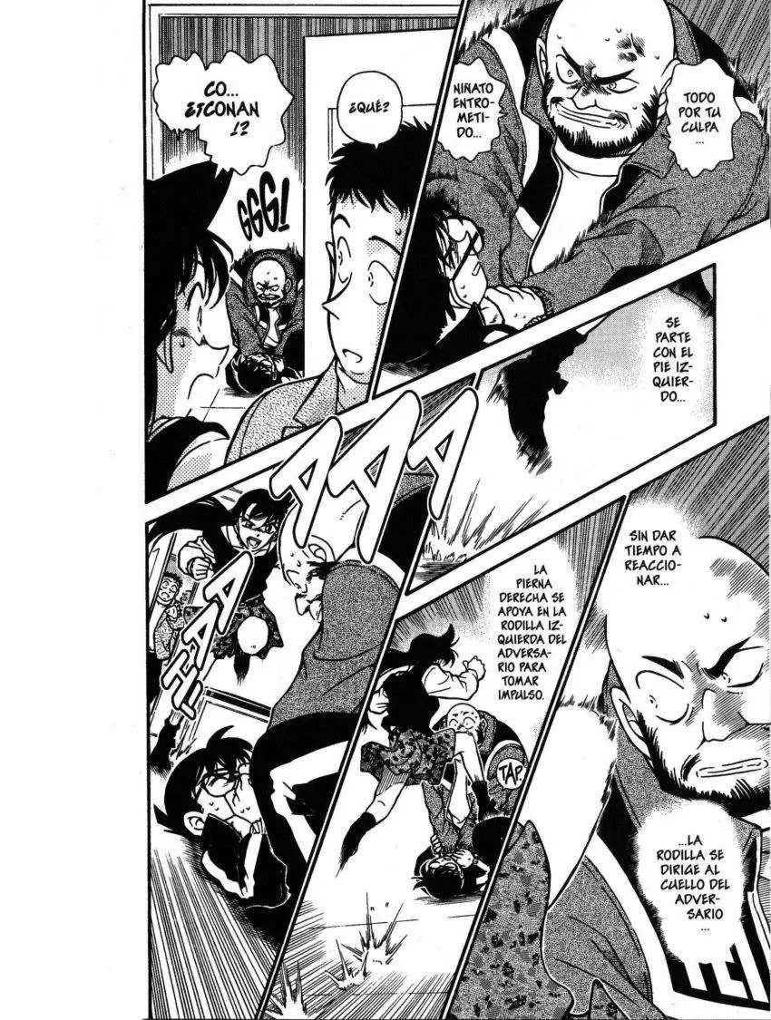 Detective Conan capítulo 389, página 15