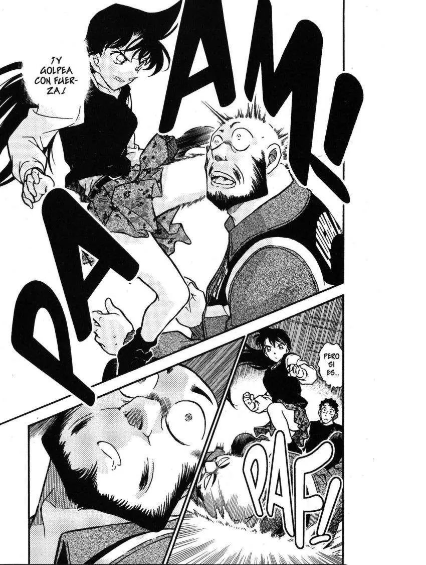 Detective Conan capítulo 389, página 16