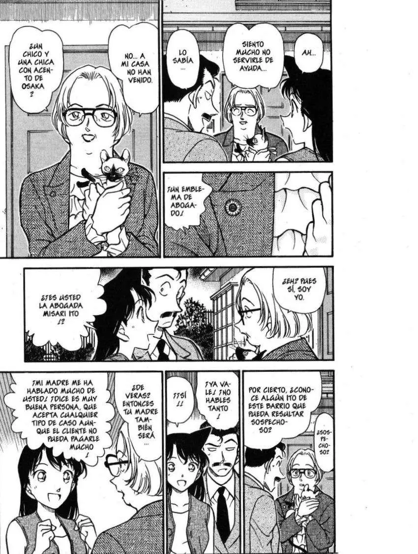 Detective Conan capítulo 390, página 13