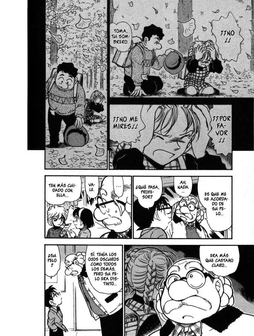 Detective Conan capítulo 411, página 13