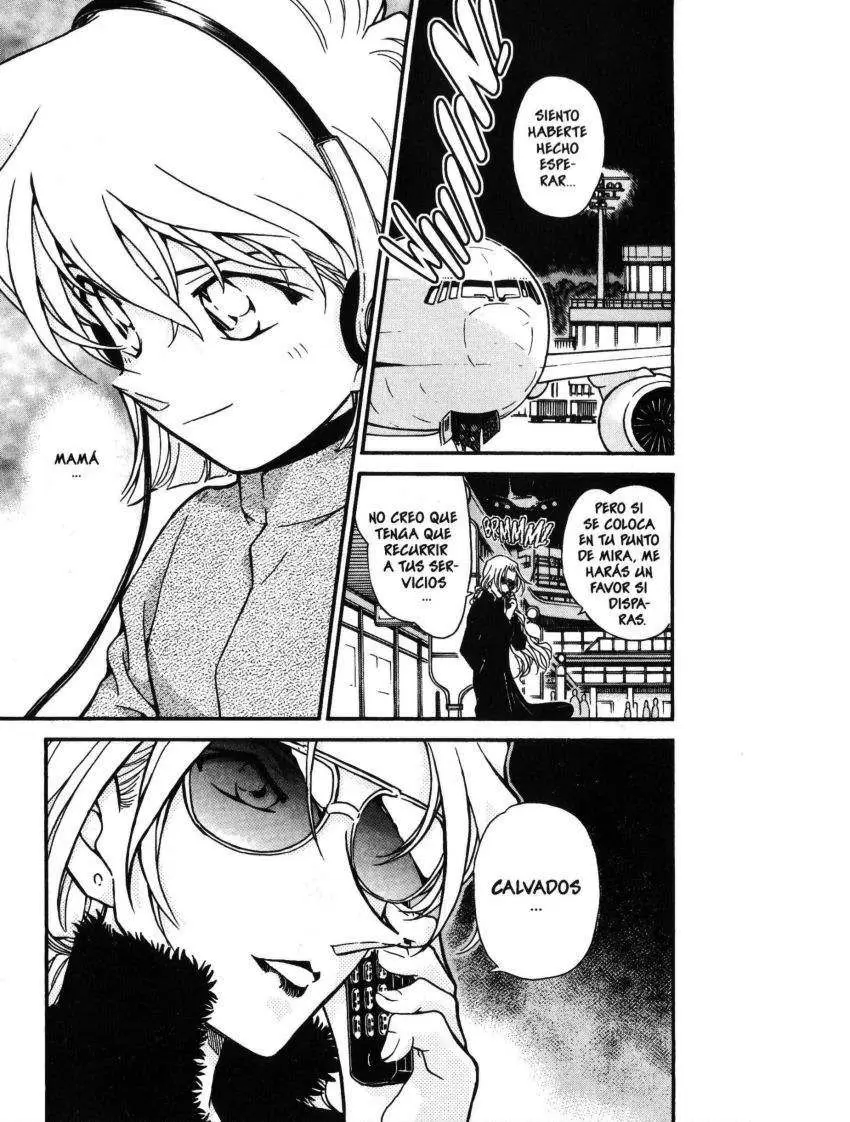 Detective Conan capítulo 425, página 18