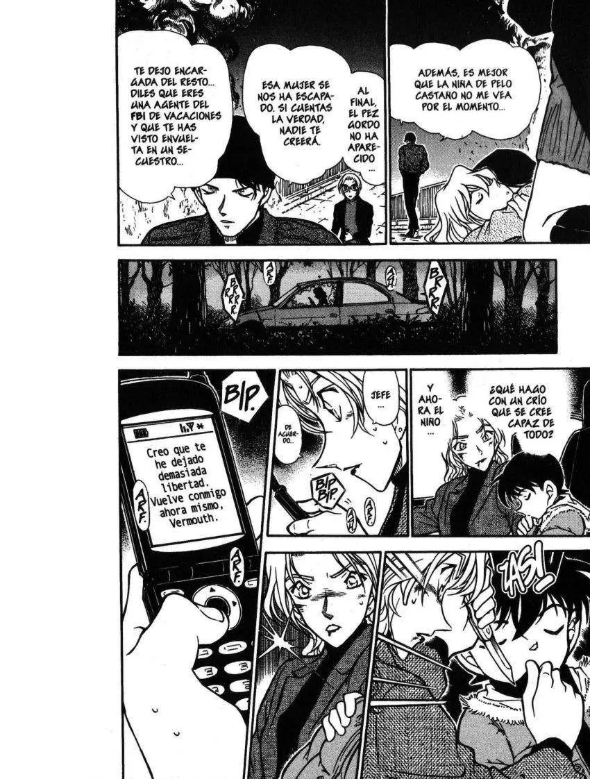 Detective Conan capítulo 434, página 13