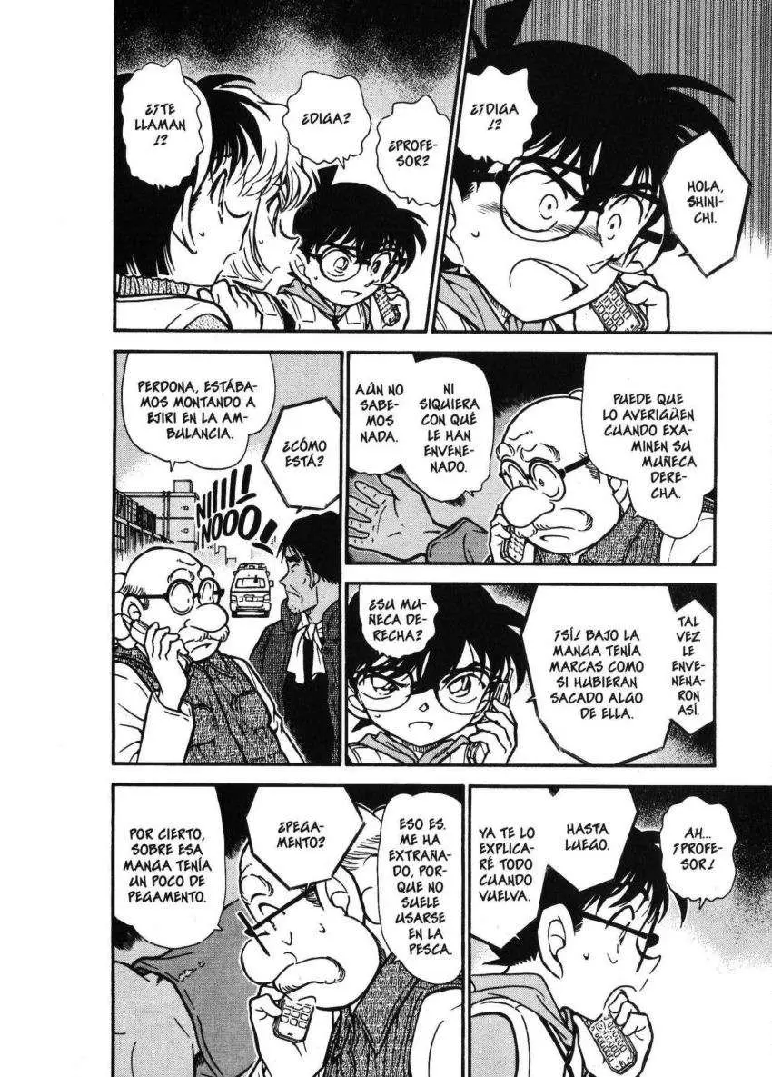 Detective Conan capítulo 461, página 13