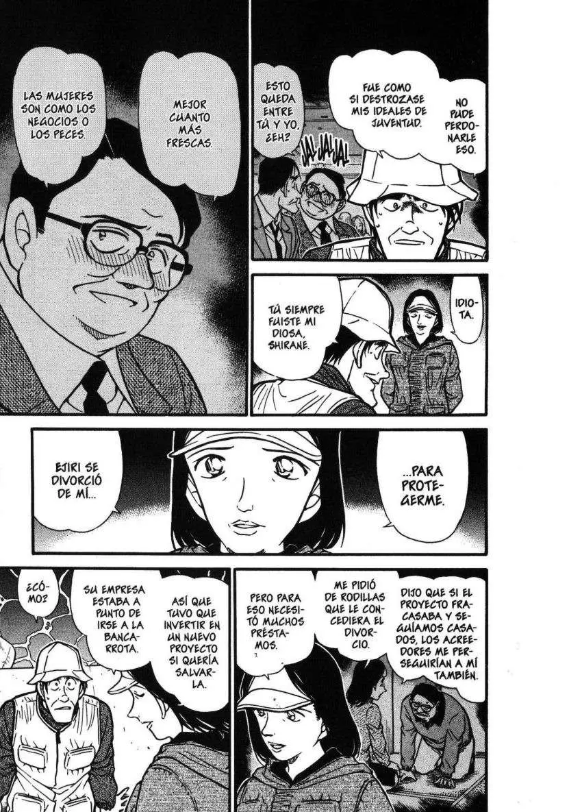 Detective Conan capítulo 462, página 14