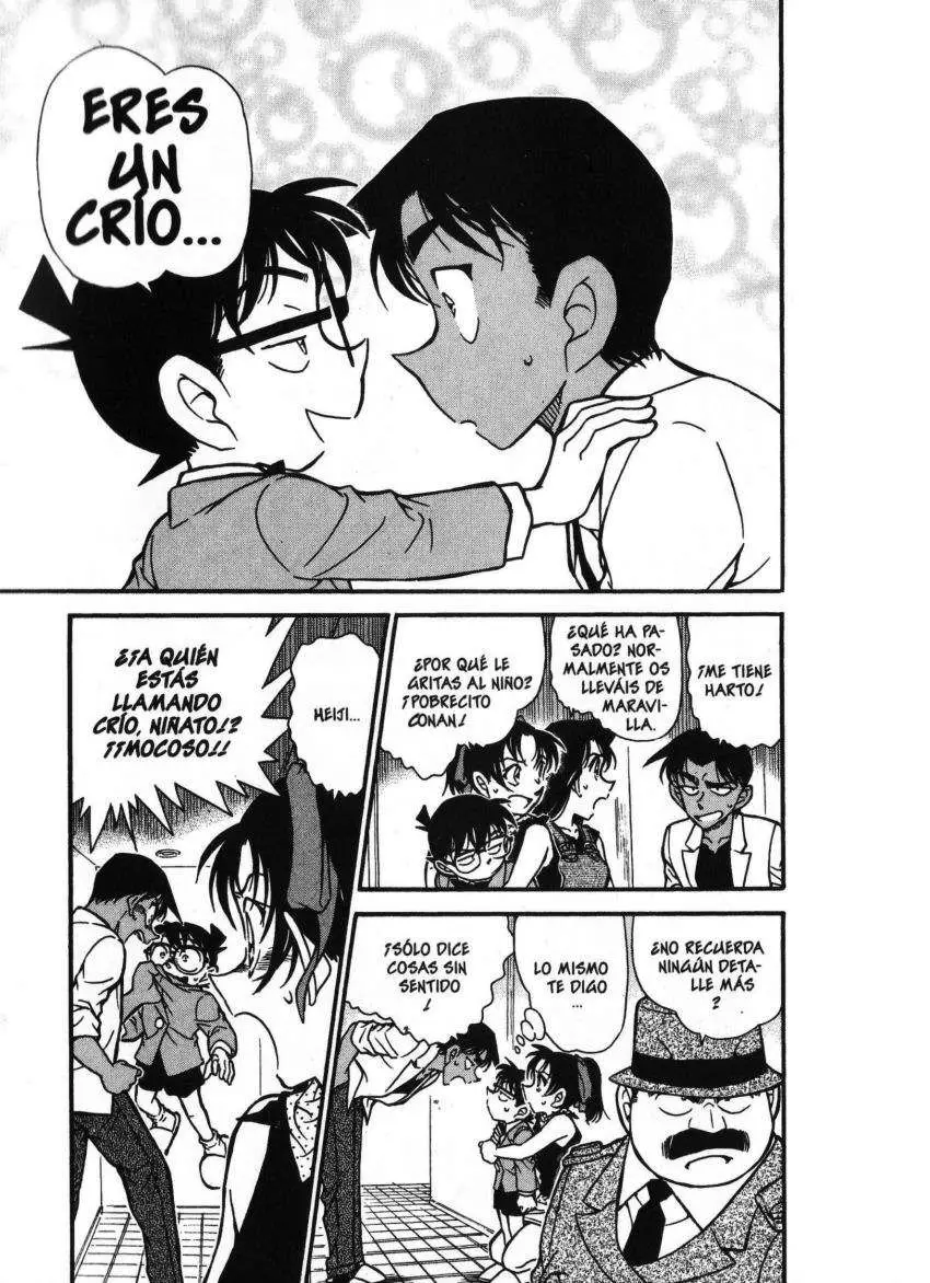 Detective Conan capítulo 489, página 4