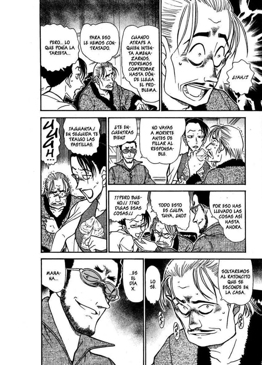 Detective Conan capítulo 494, página 13