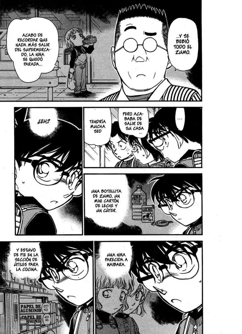 Detective Conan capítulo 506, página 14