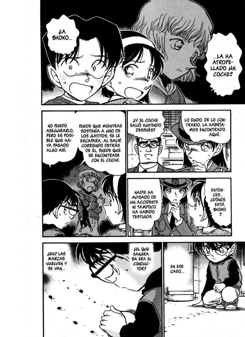 Detective Conan capítulo 507, página 11