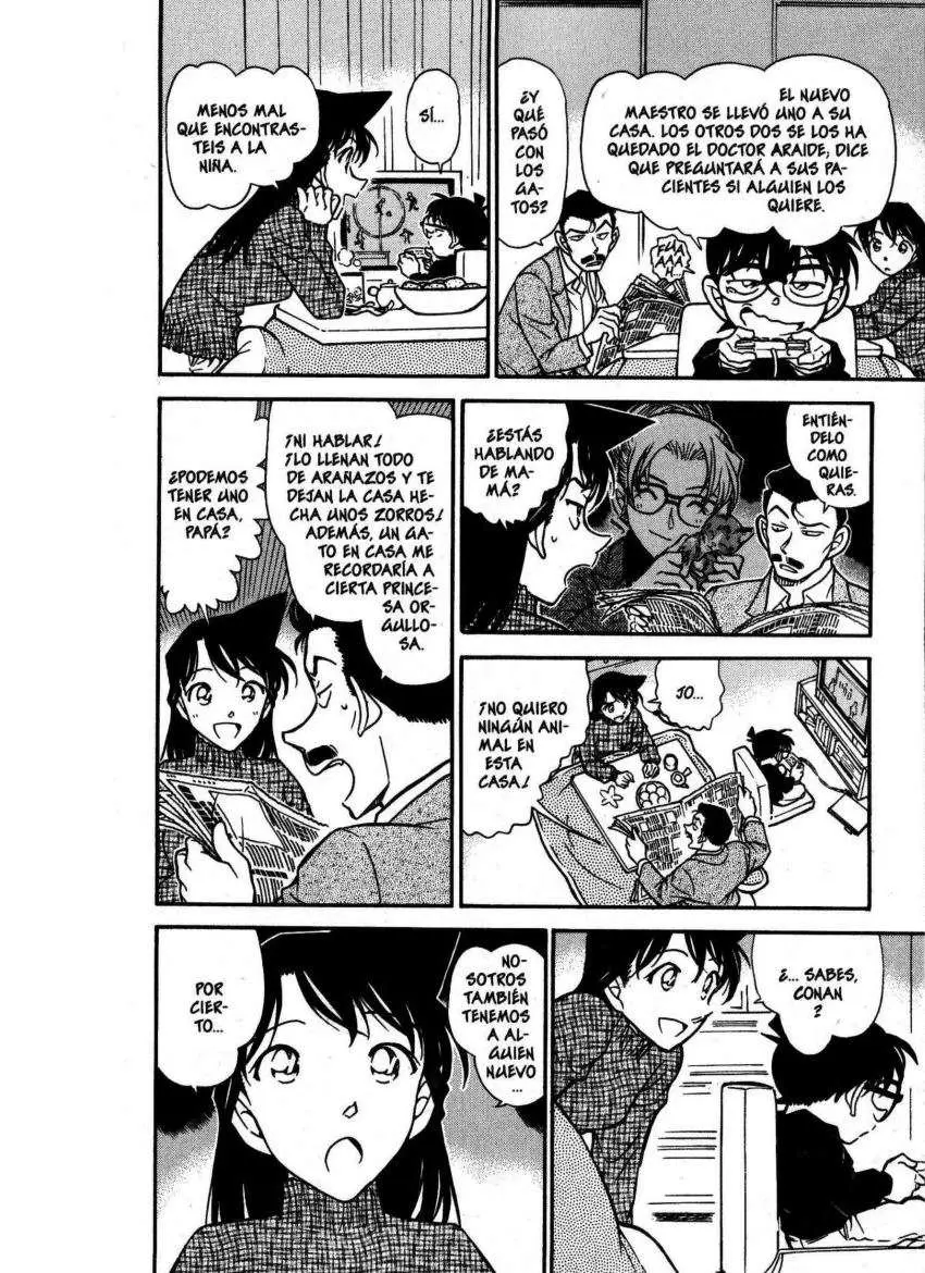 Detective Conan capítulo 507, página 17