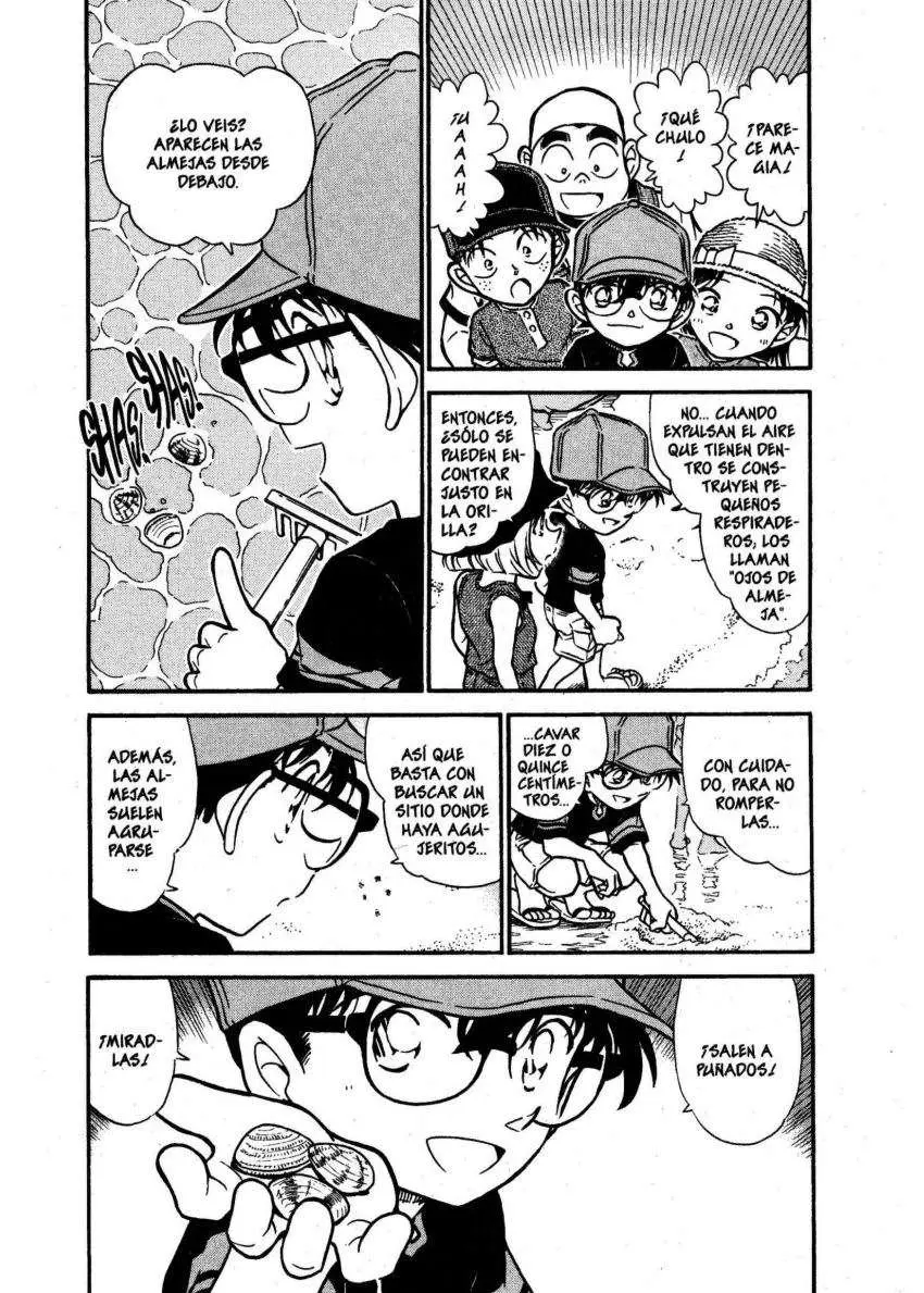 Detective Conan capítulo 525, página 4