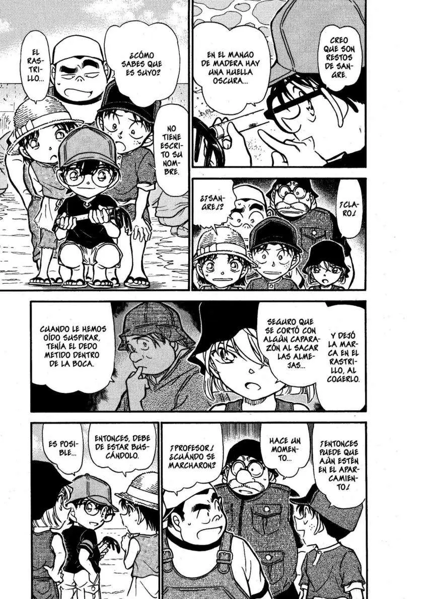 Detective Conan capítulo 525, página 14