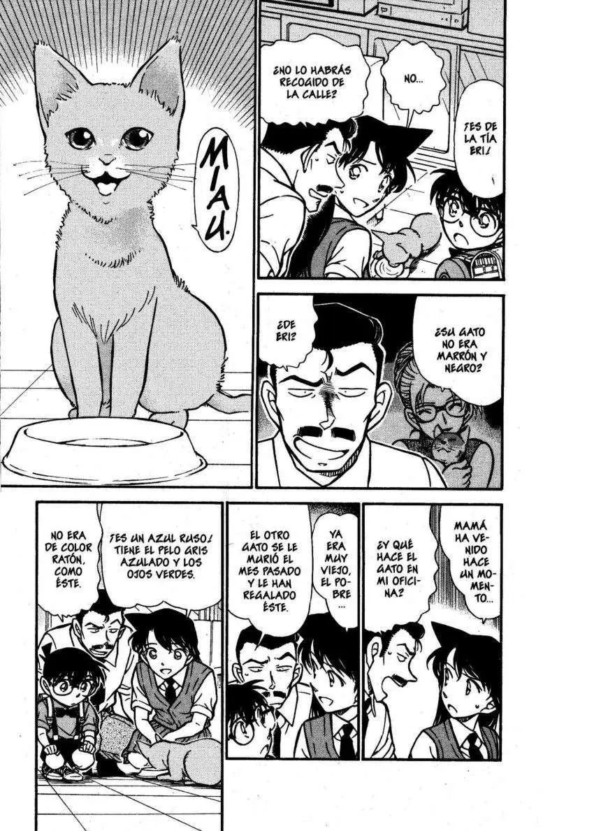 Detective Conan capítulo 528, página 4