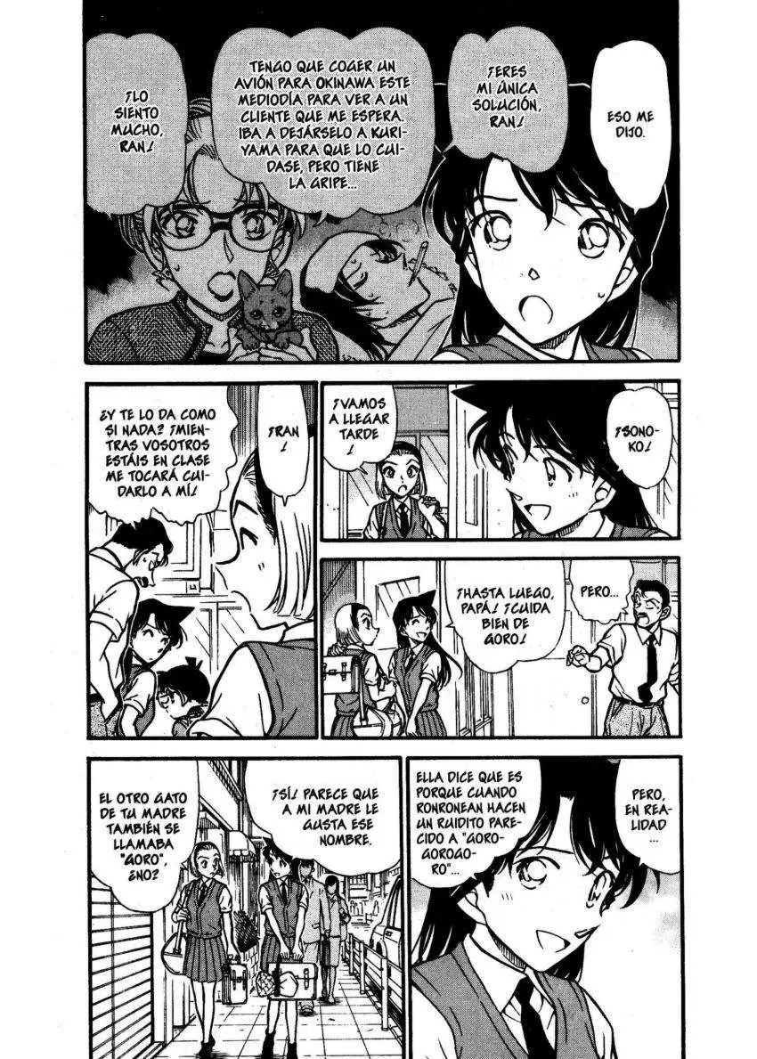 Detective Conan capítulo 528, página 5