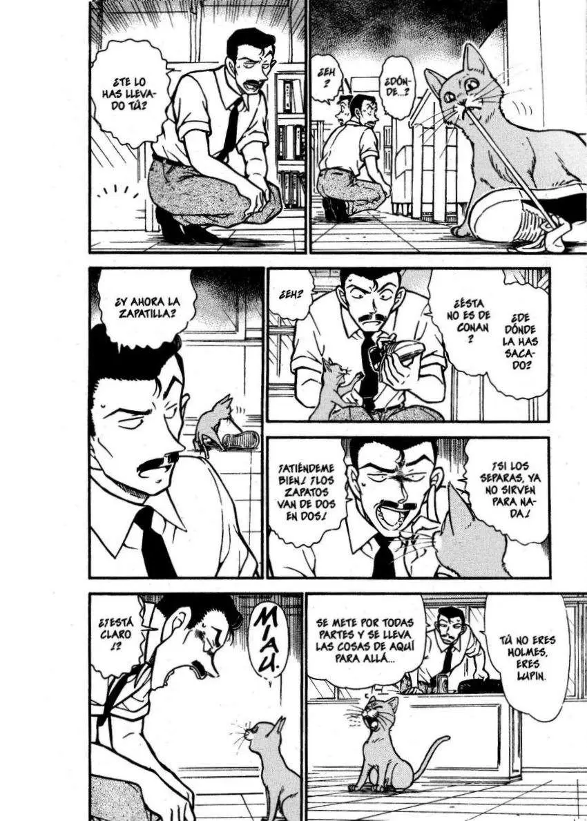 Detective Conan capítulo 528, página 13
