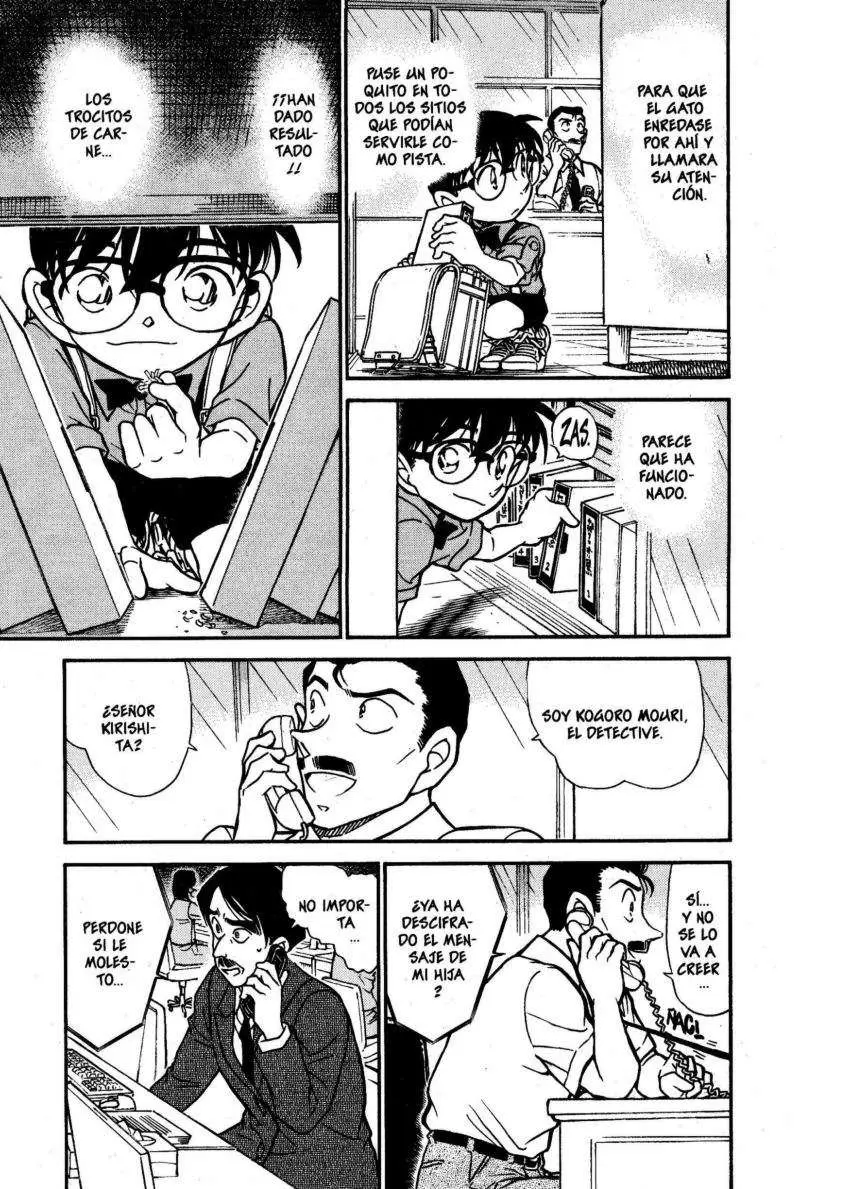 Detective Conan capítulo 529, página 12