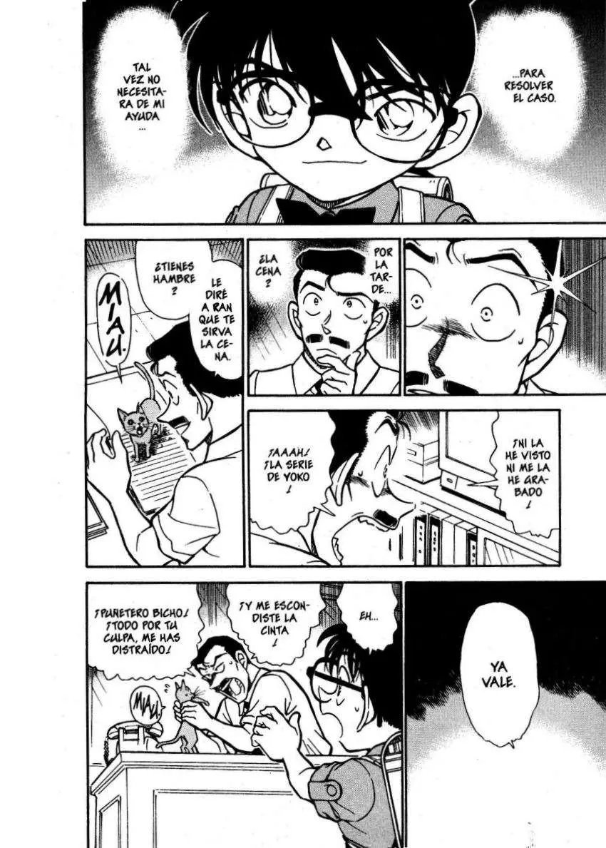 Detective Conan capítulo 529, página 15