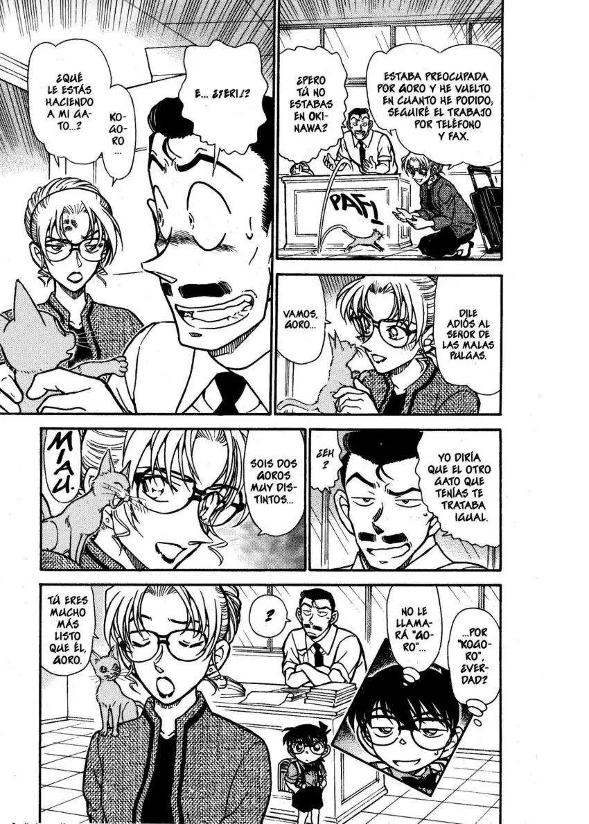Detective Conan capítulo 529, página 16