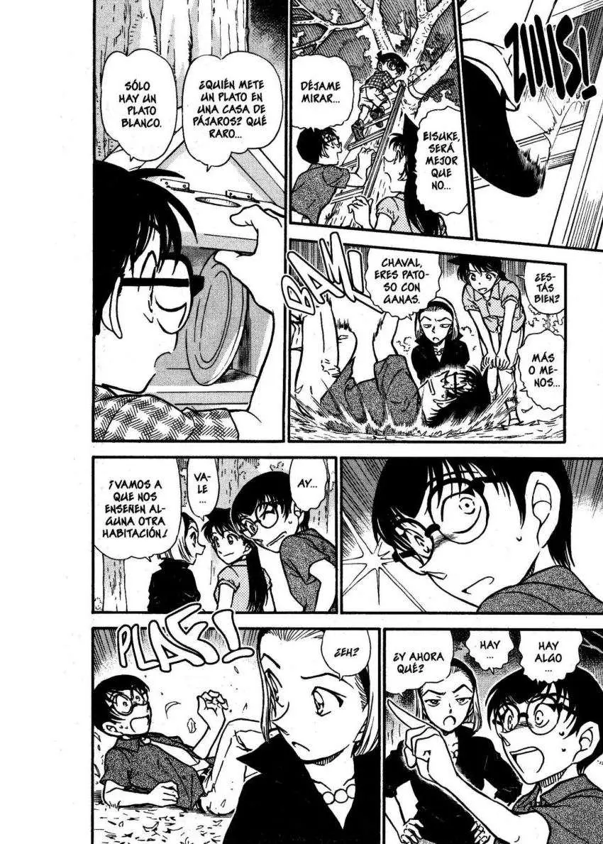 Detective Conan capítulo 530, página 13