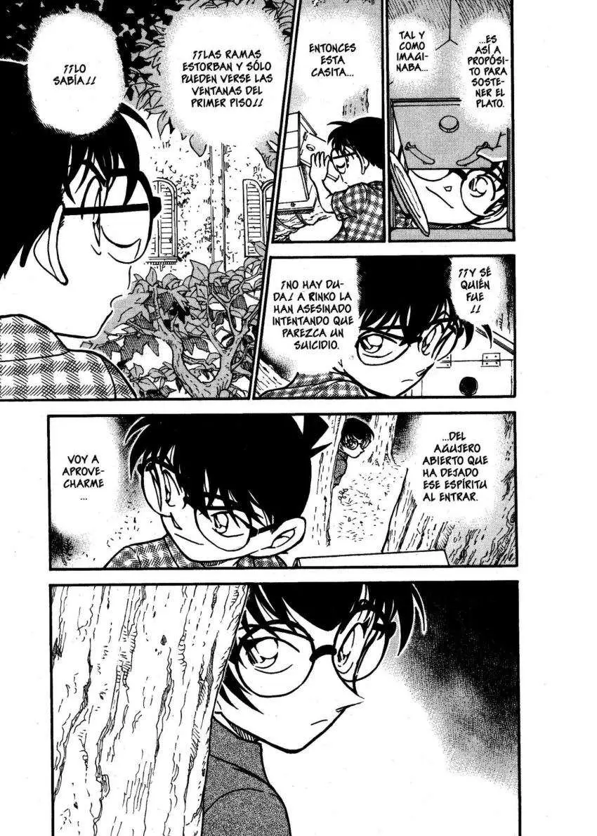 Detective Conan capítulo 531, página 16