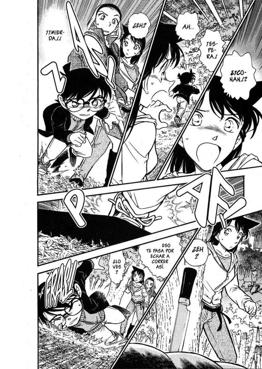 Detective Conan capítulo 541, página 15